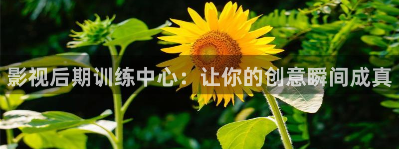 丫丫光棍影院：影视后期训练中心：让你的创意瞬间成真