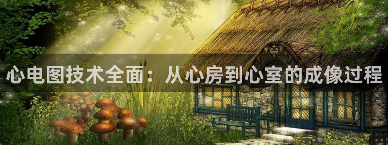 丫丫4410青苹果影院：心电图技术全面：从心房到心室的成像过程