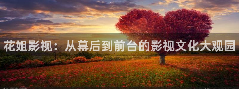 丫丫影院免费在线看电视剧：花姐影视：从幕后到前台的影视文化大观园