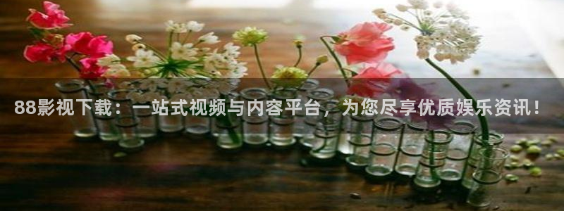 丫丫光棍影院：88影视下载：一站式视频与内容平台，为您尽享优质娱乐资讯！