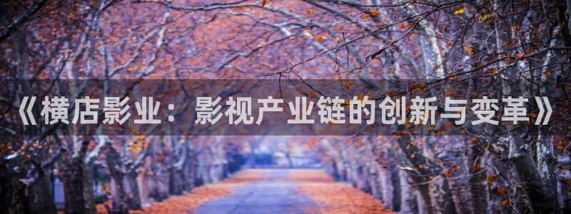 丫丫448o青苹果果影院：《横店影业：影视产业链的创新与变革》
