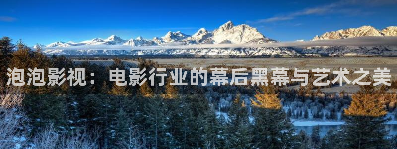 丫丫影院在线播放电视剧：泡泡影视：电影行业的幕后黑幕与艺术之美